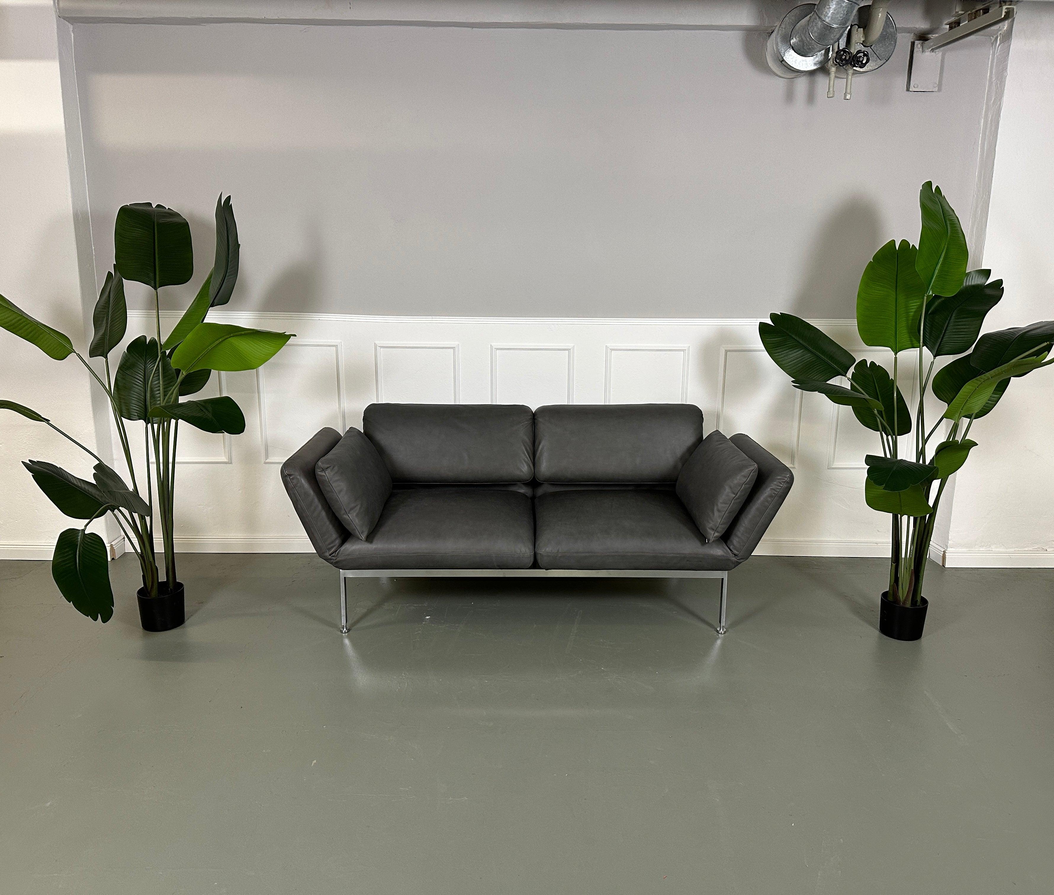 Gebrauchtes Brühl Roro Leder Sofa in der Farbe Grau vor einer Wand, stilvoll und modern eingerichtet.