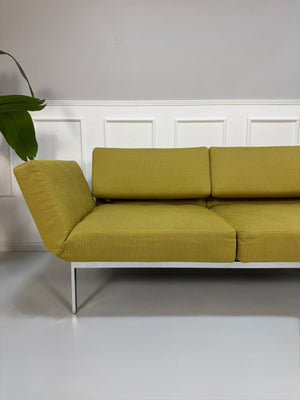 Gebrauchtes grünes Brühl Roro Soft Designer Stoff Sofa vor einer Wand, stilvoll und modern eingerichtet.