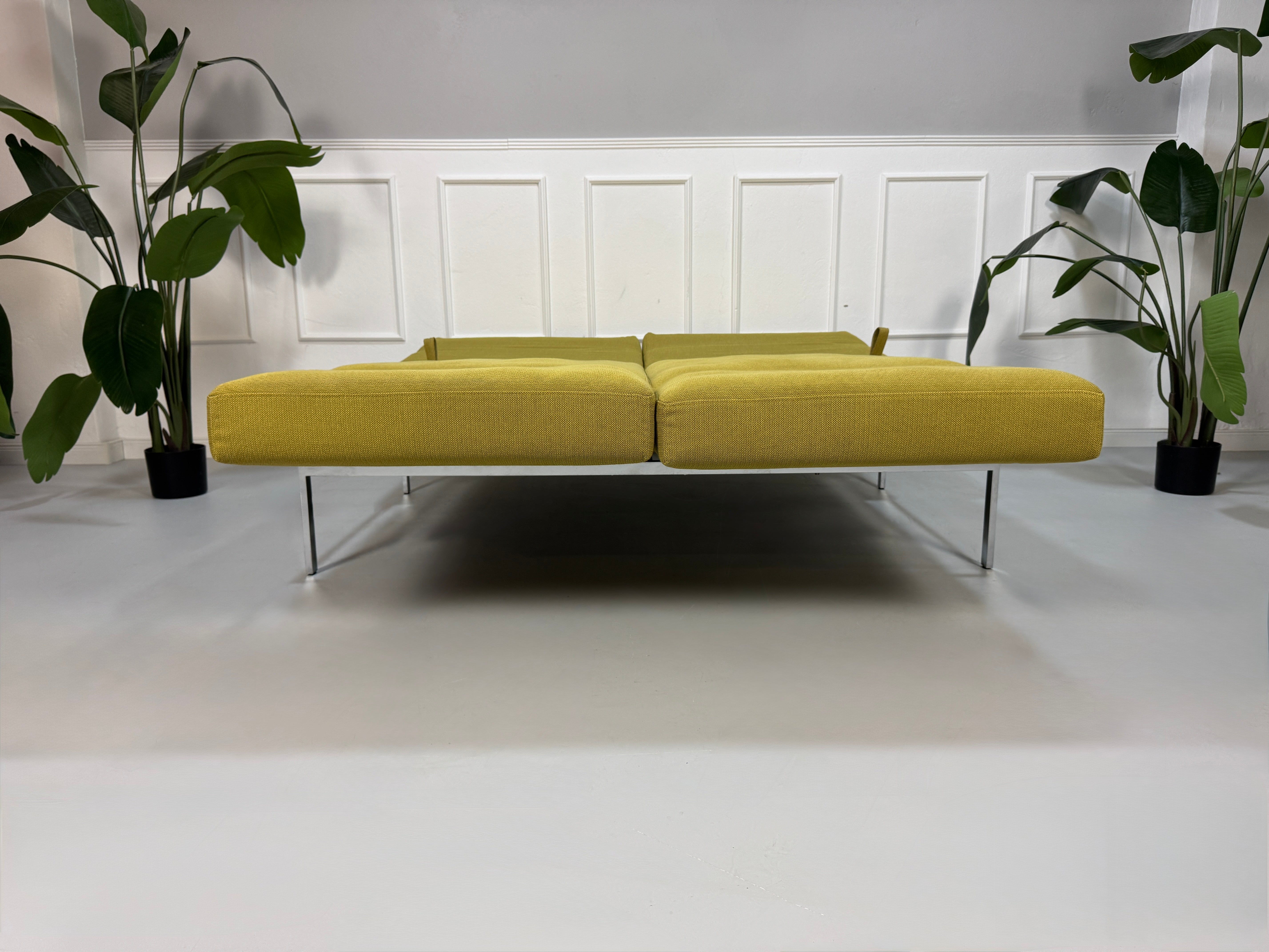 Gebrauchtes grünes Brühl Roro Soft Designer Stoff Sofa vor einer Wand, stilvoll und modern eingerichtet.