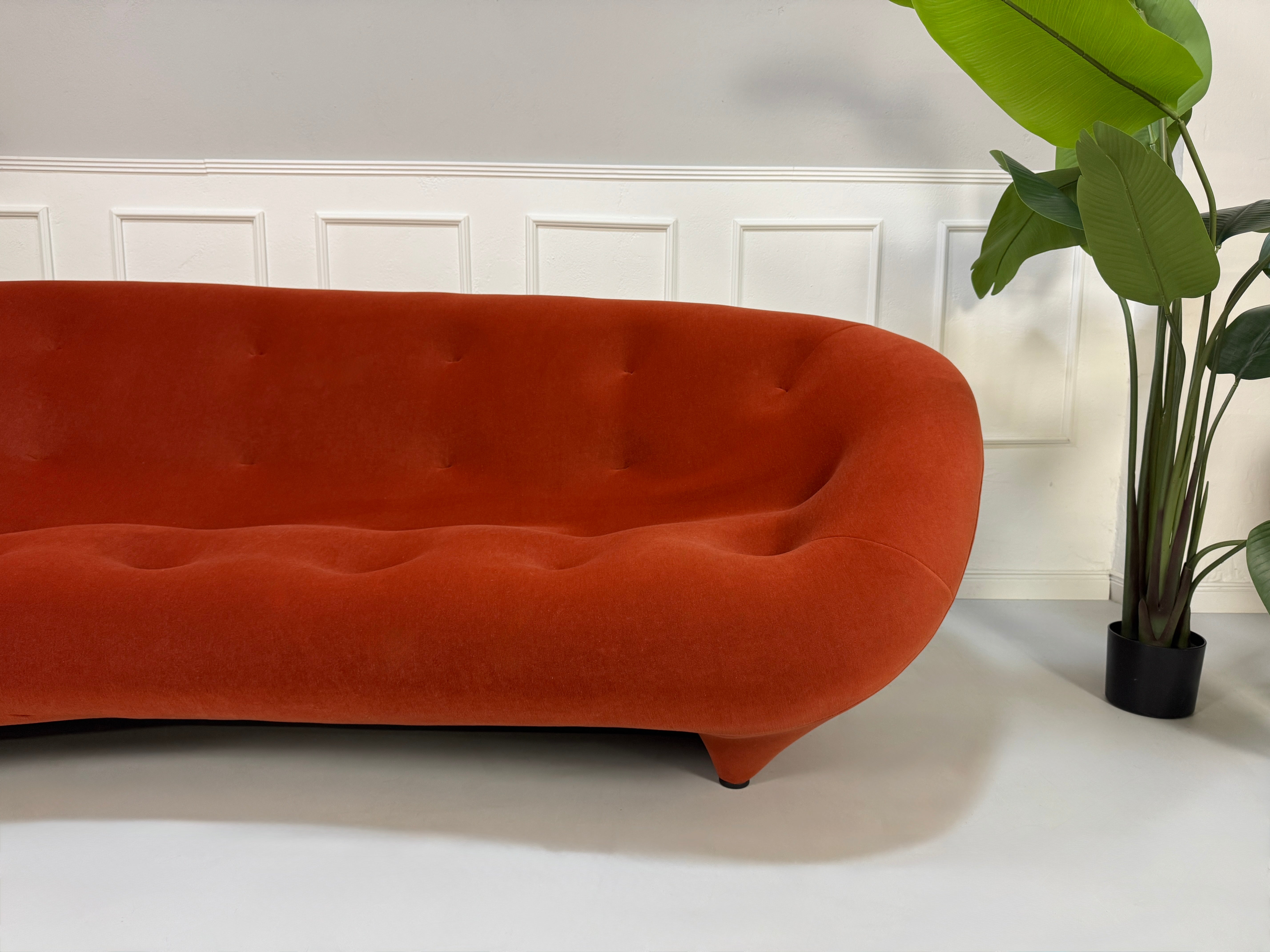 Ligne Roset Ploum in der Farbe Orange Designer Stoff Sofa vor einer Wand, stilvoll und modern eingerichtet.