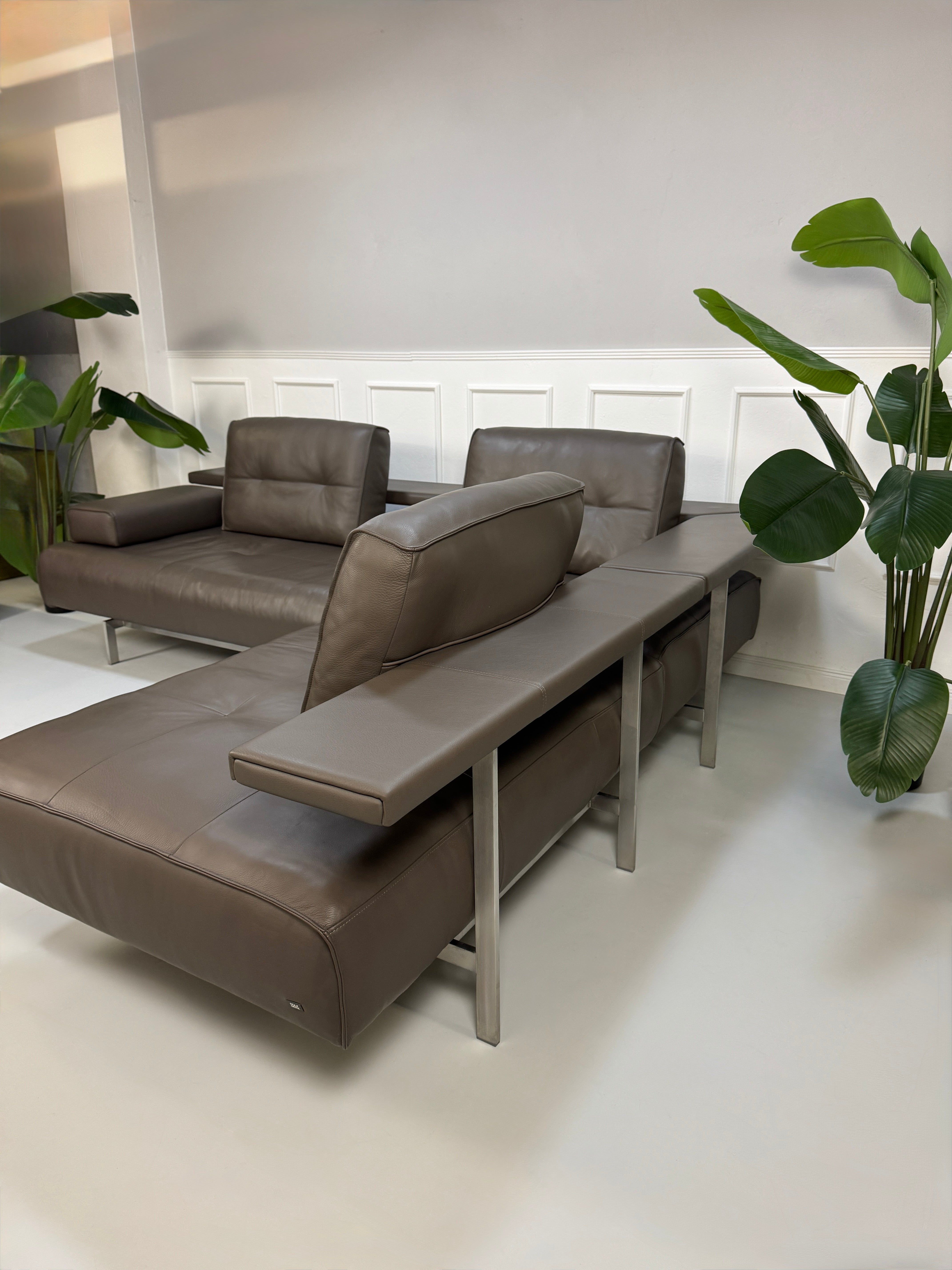 Rolf Benz Dono Designer Sofa Leder Braun