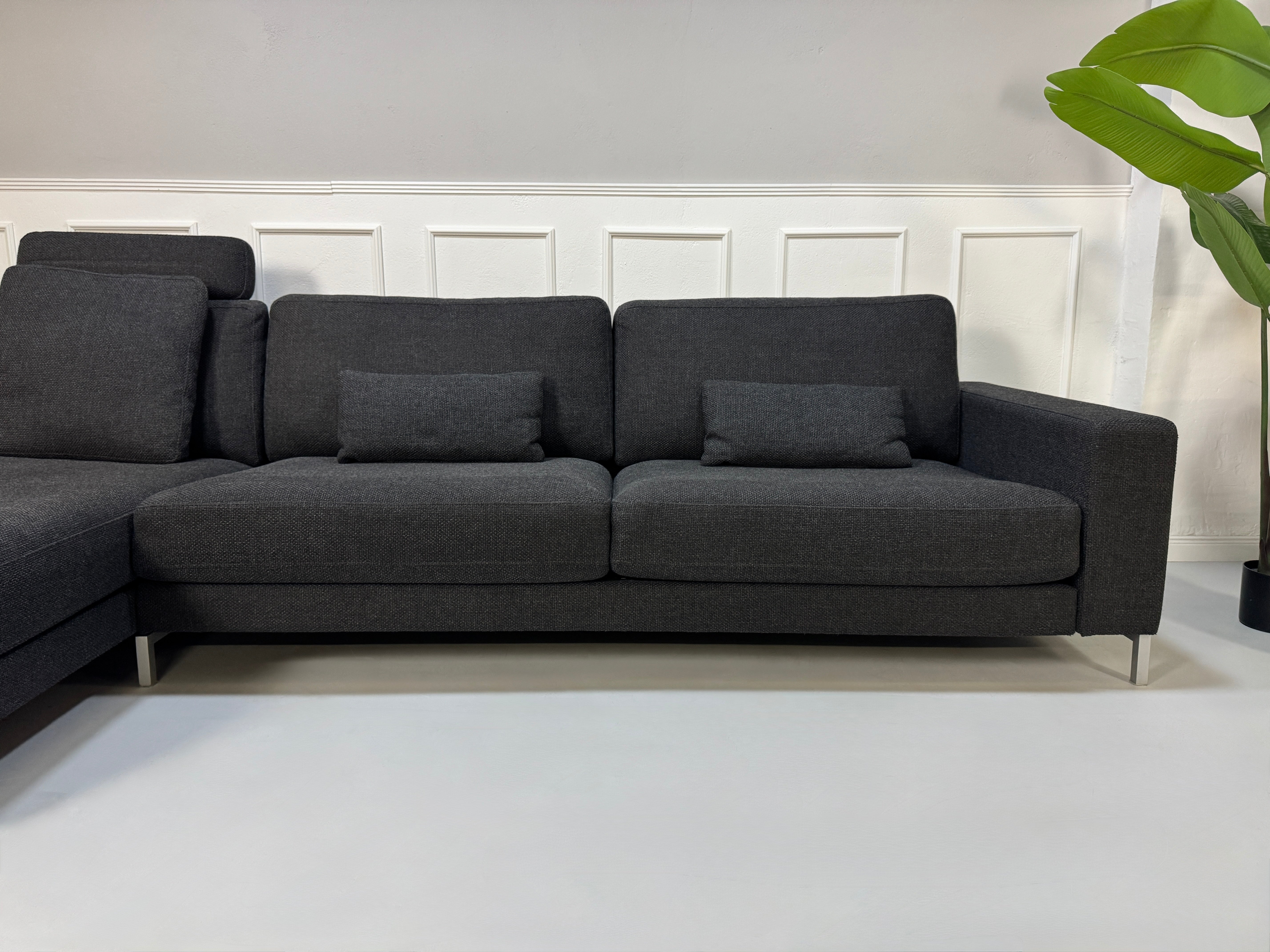 Rolf Benz Sofa Ego in der Farbe Grau Designer Stoff Sofa vor einer Wand, stilvoll und modern eingerichtet.