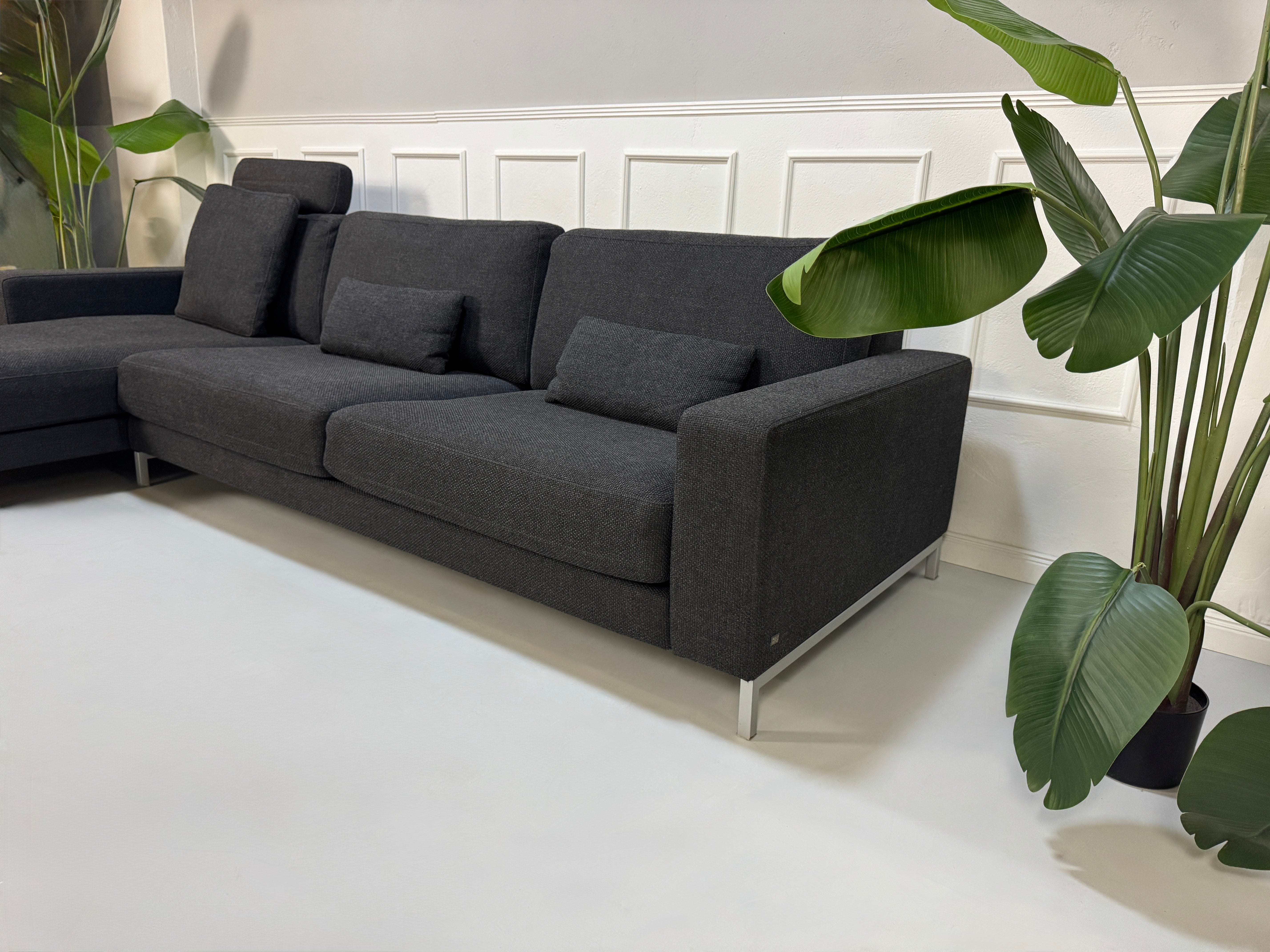 Rolf Benz Sofa Ego in der Farbe Grau Designer Stoff Sofa vor einer Wand, stilvoll und modern eingerichtet.