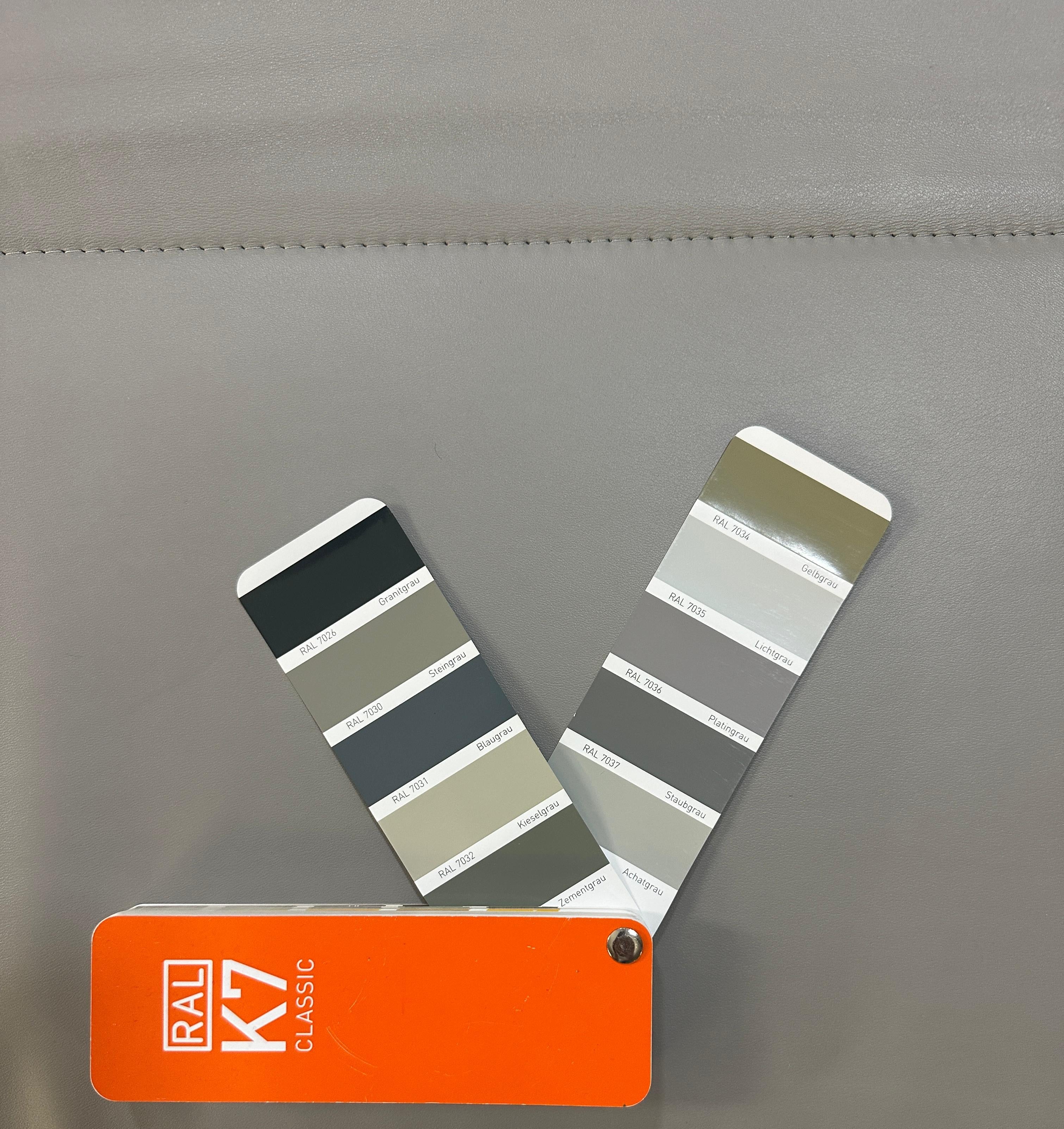 Gebrauchtes graues Rolf Benz Designer Leder Sofa vor einer Wand, stilvoll und modern eingerichtet.