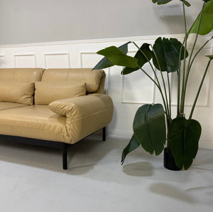 Gebrauchtes beiges Rolf Benz Plura Designer Leder Sofa vor einer Wand, stilvoll und modern eingerichtet.