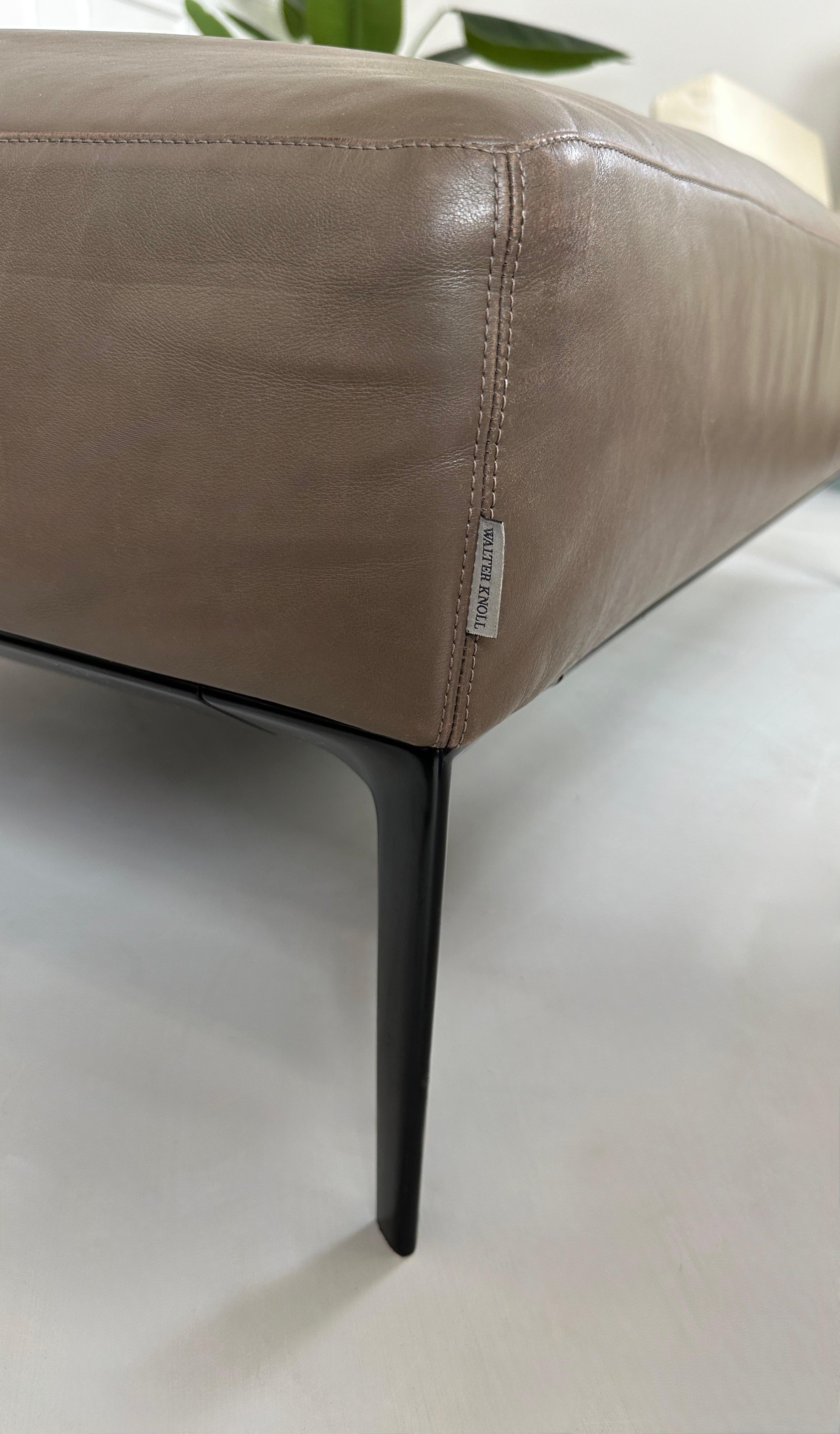 Gebrauchtes braunes Walter Knoll Grand Suite Designer Leder Sofa vor einer Wand, stilvoll und modern eingerichtet.