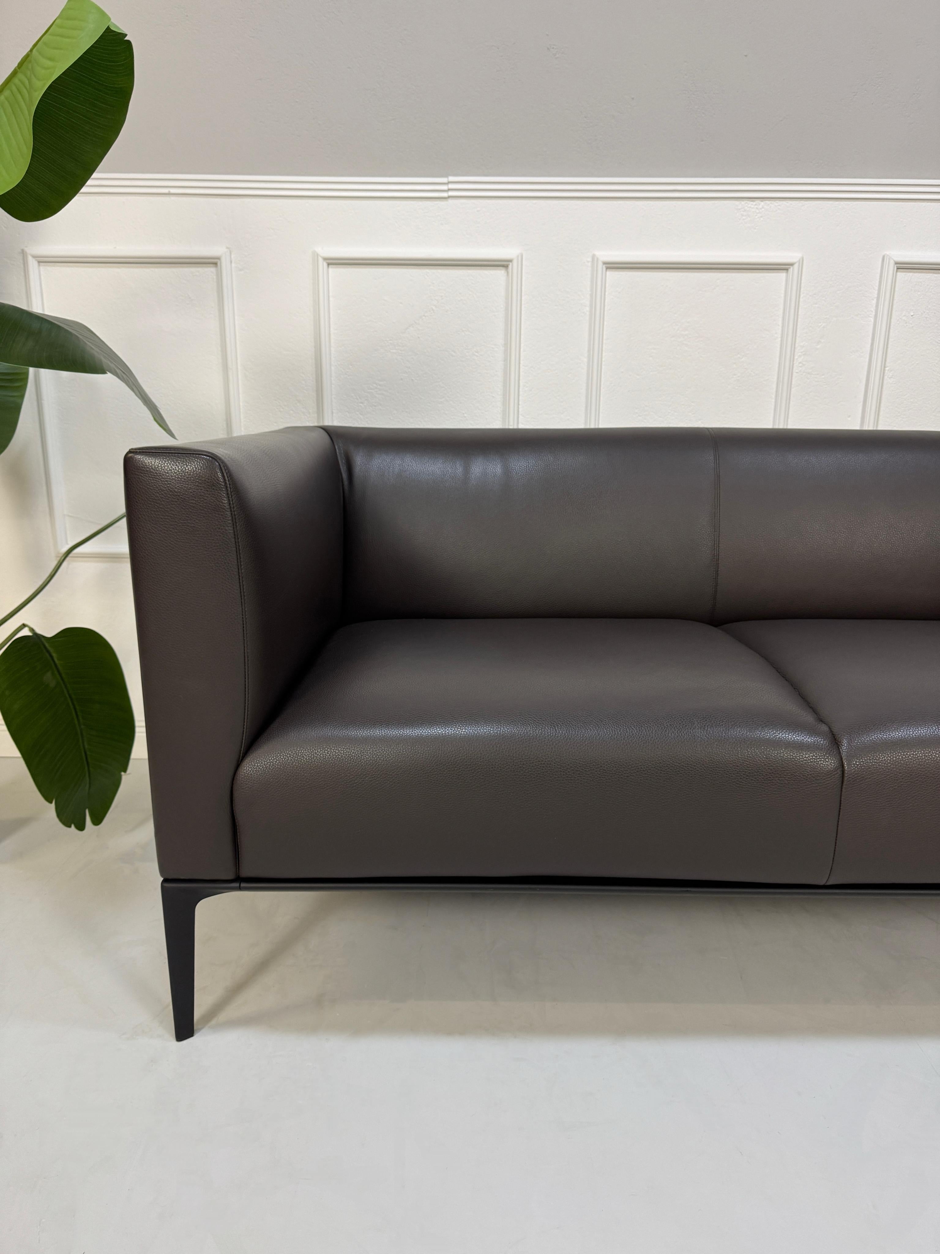 Gebrauchtes braunes Walter Knoll JAAN Designer Leder Sofa vor einer Wand, stilvoll und modern eingerichtet.